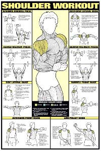 Back Workout Chart Hd